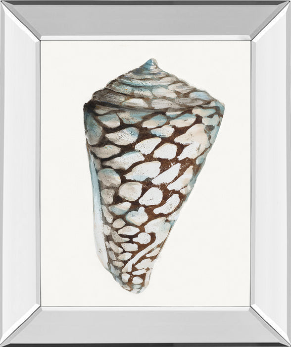 Modern Shell With Teal Il By Patricia Pinto - Mirror Framed Print Wall Art - White