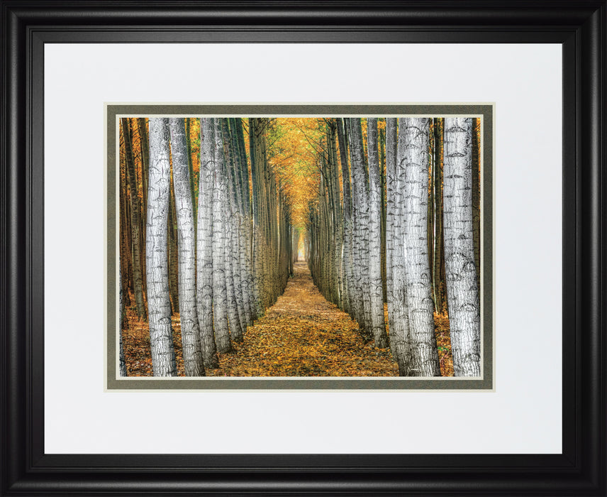 Tree Farm By Cahill - Framed Print Wall Art - Yellow