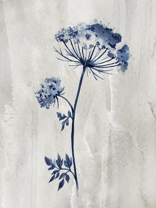 Small - Indigo Botanical I By Conrad Knutsen - Blue