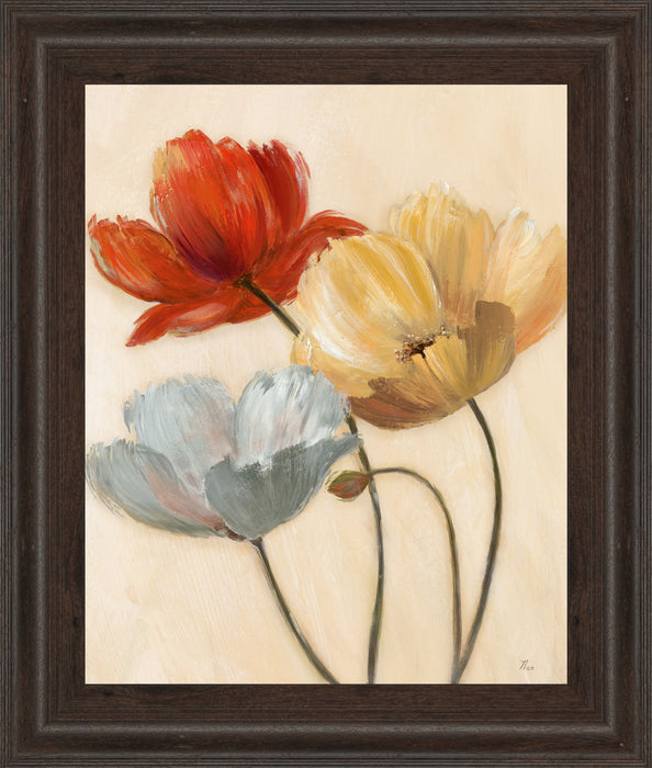 Poppy Palette Il By Nan - Framed Print Wall Art - Red