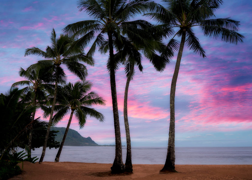 Framed Small - Pink Clouds By Dennis Frates - Purple