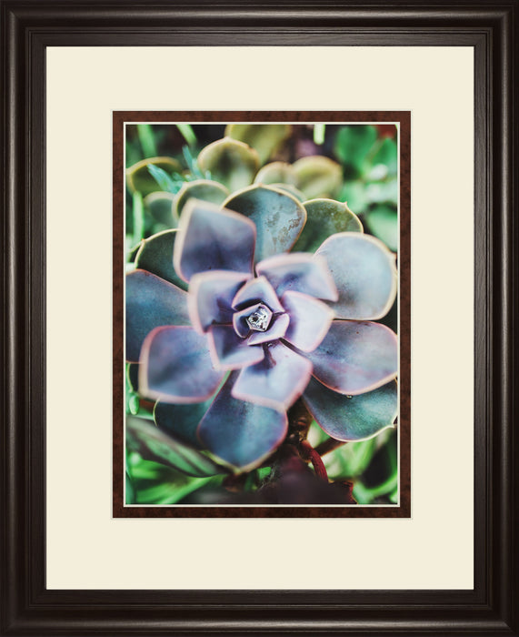 Succulence Beauty By Chelsea Kedron - Blue