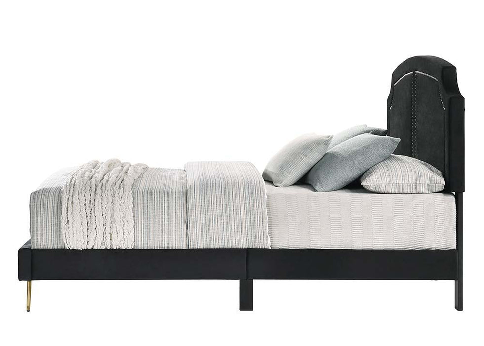 Zeena - Bed