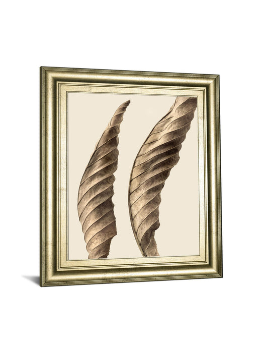 Turning Leaves I By Jeff Friesen - Framed Print Wall Art - Dark Brown