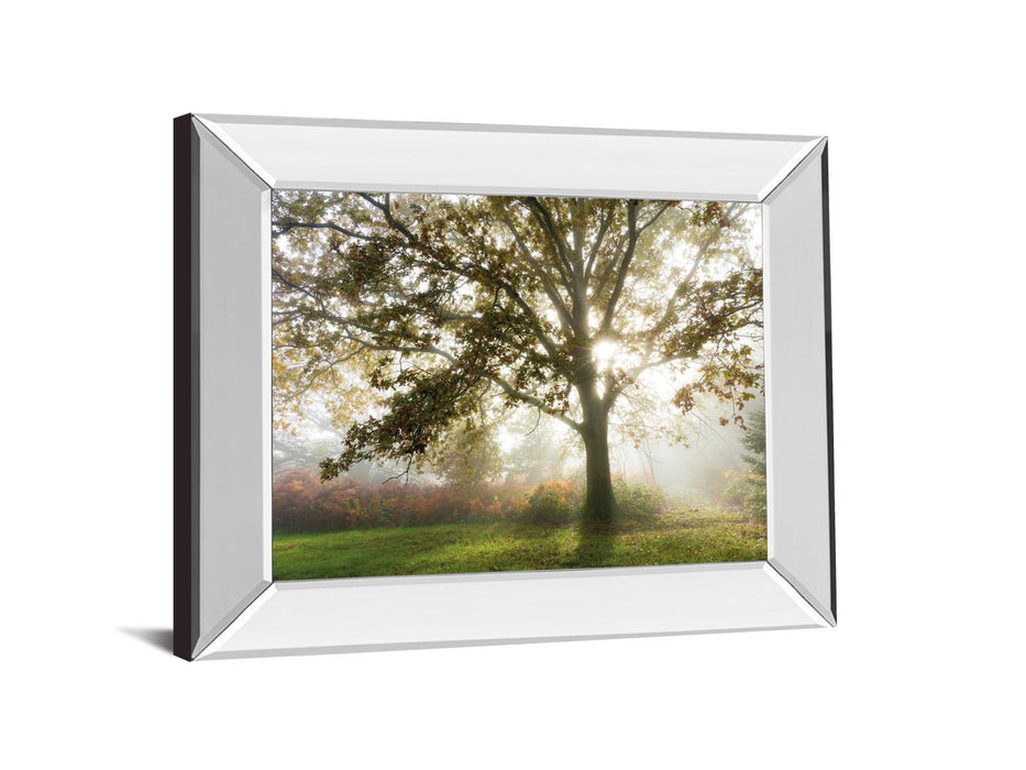 Morning Calm By Lee Frost - Mirror Framed Print Wall Art - Green