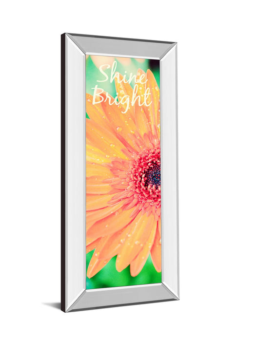Shine Bright Daisy By Susan Bryant - Mirror Framed Print Wall Art - Orange