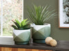 Ardenridge - Green / White - Planter Set (Set of 2) Sacramento Furniture Store Furniture store in Sacramento