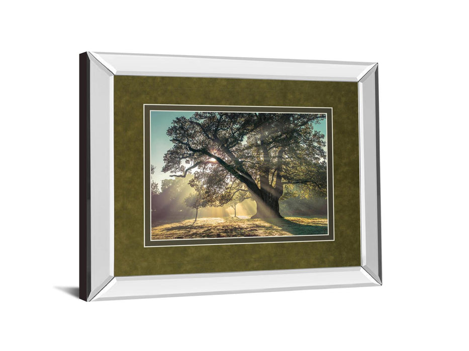 Breaking Through By A. Frank - Mirror Framed Print Wall Art - Green