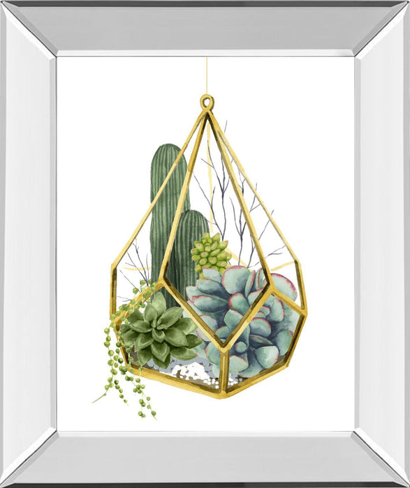 Wild Terrarium IV By Grace Popp - Green