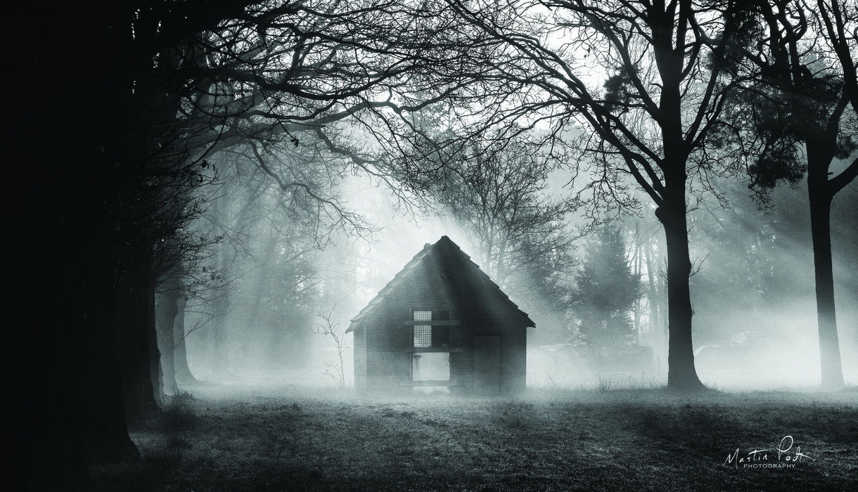 Framed - The Shed By Martin Podt - Dark Gray