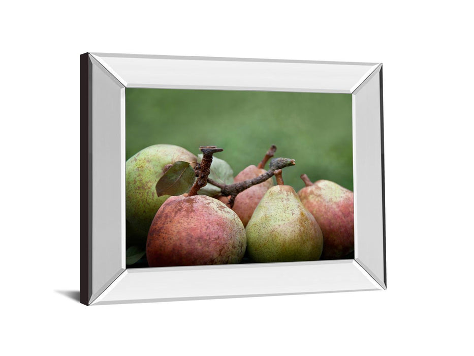 Comice Pear Il By Rachel Perry - Mirror Framed Print Wall Art - Green