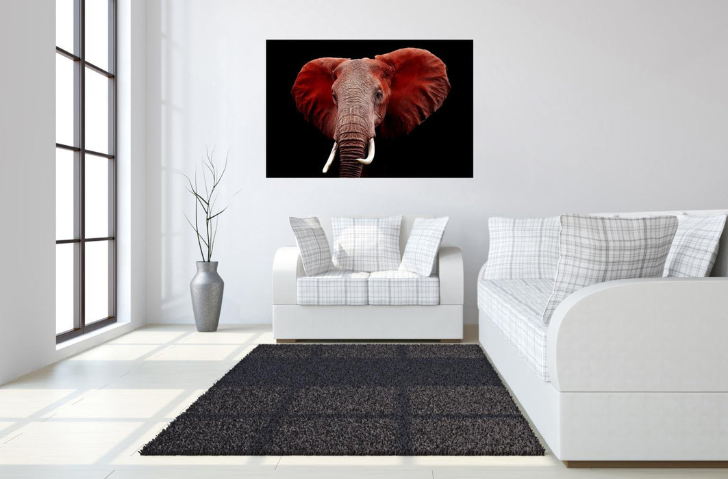 Tempered Glass Plus Foil Elephant - Red