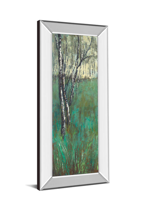 Nature Companion I By Solis - Mirror Framed Print Wall Art - Blue