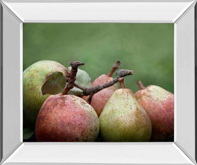 Comice Pear Il By Rachel Perry - Mirror Framed Print Wall Art - Green