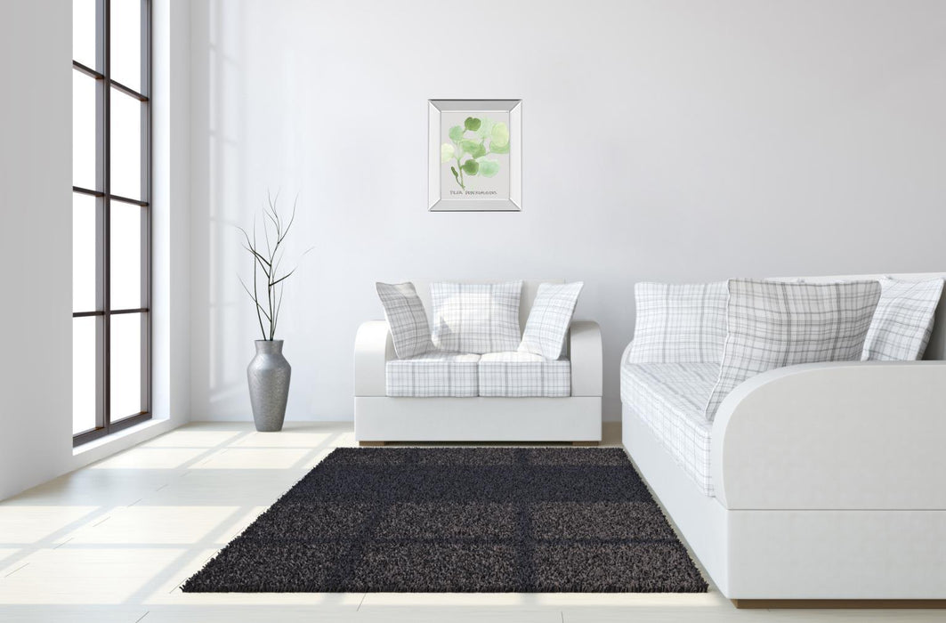 Pilea Peperomioides By Katrien Soeffers - Mirror Framed Print Wall Art - Green