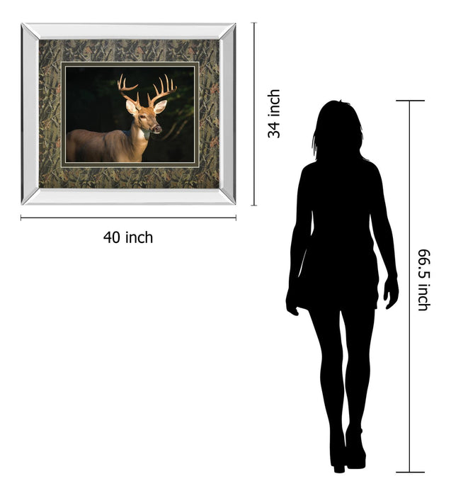 White Tail Buck By Tony Campbell Double Matted - Mirror Framed Print Wall Art - Black
