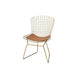 Achellia - Side Chair (Set of 2) - Whiskey PU & Gold Sacramento Furniture Store Furniture store in Sacramento
