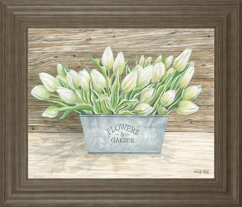 Flowers & Garden Tulips By Cindy Jacobs - Framed Wall Art - Green