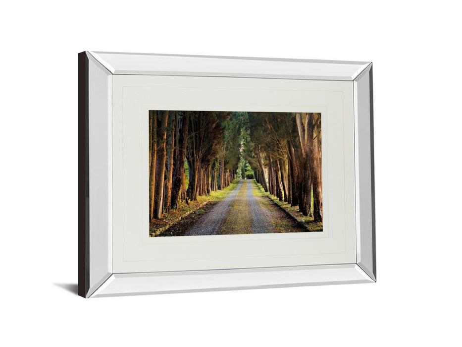 Tree Tunnel By Michael Tunnel And Mossy Oak Native Living - Mirror Framed Print Wall Art - Green
