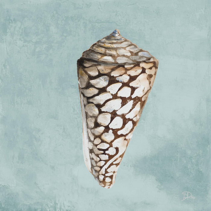 Small - Modern Shell On Teal II By Patricia Pinto - Blue