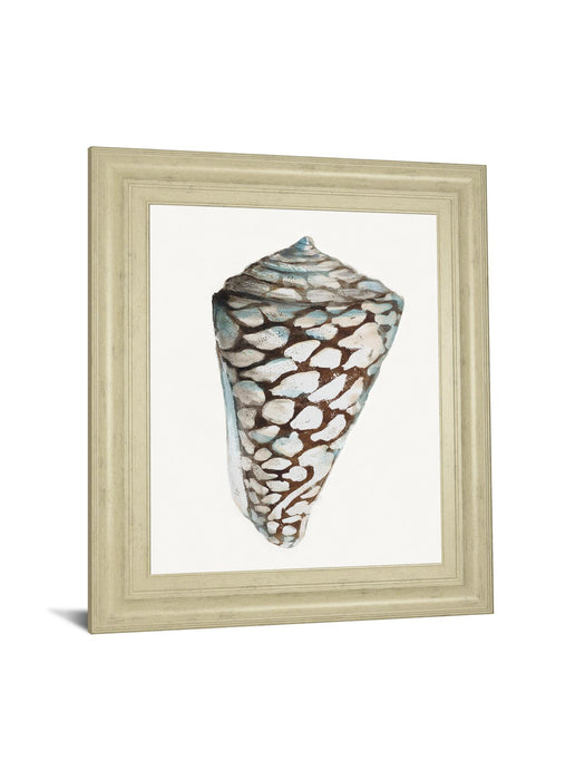 Modern Shell With Teal Il By Patricia Pinto - Framed Print Wall Art - White