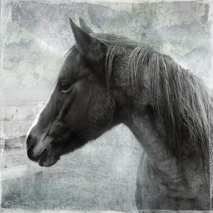 Vintage View II By Carol Robinson - Dark Gray