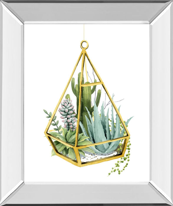 Wild Terrarium III By Grace Popp - Green