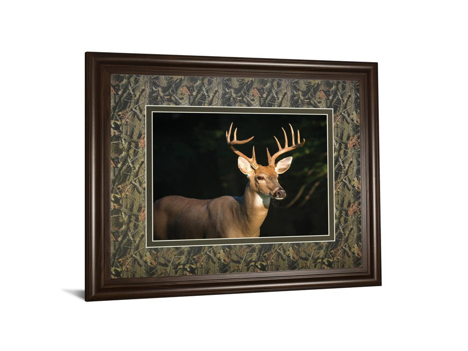 White Tail Buck By Tony Campbell Double Matted - Framed Print Wall Art - Black