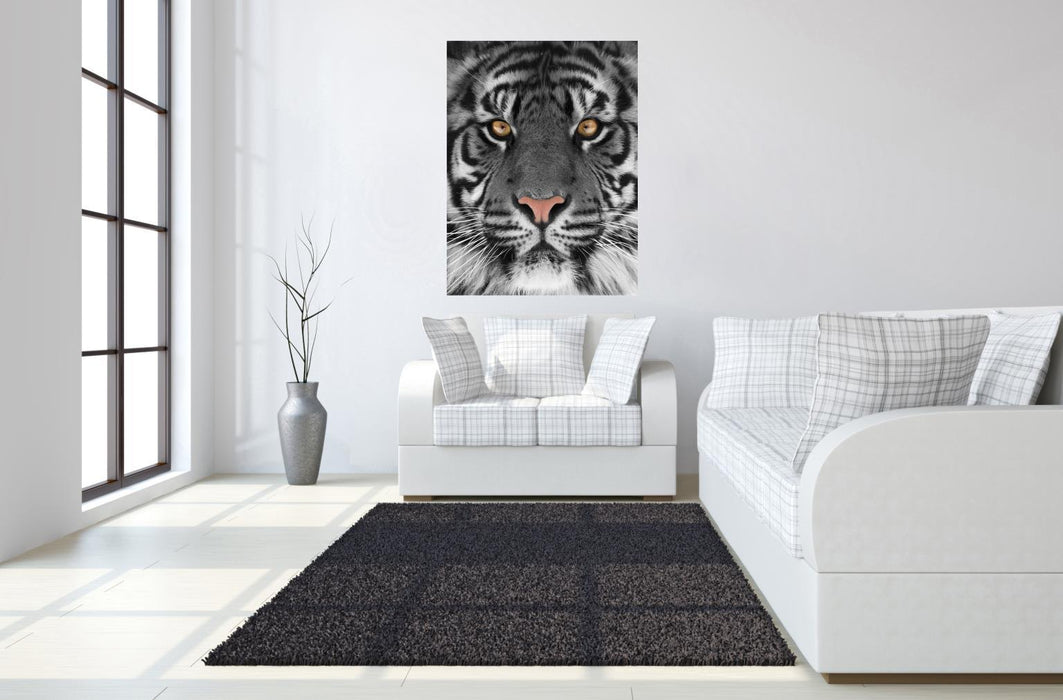 Floating Tempered Glass With Foil Tiger - Dark Gray