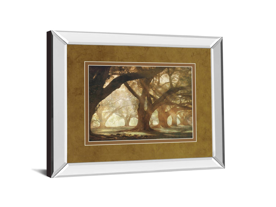Oak Alley Morning Light By William Guion - Mirror Framed Print Wall Art - Dark Brown
