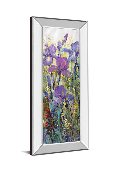IIris Field I By Tim Otoole - Mirror Framed Print Wall Art - Purple