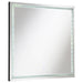 Noelle - Square Wall Mirror With Led Lights - Silver Sacramento Furniture Store Furniture store in Sacramento