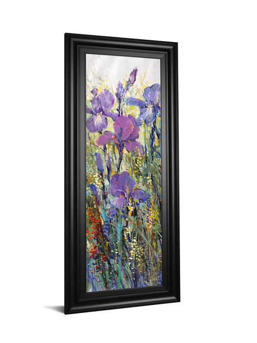 Iris Field I By Tim Otoole - Framed Print Wall Art - Purple