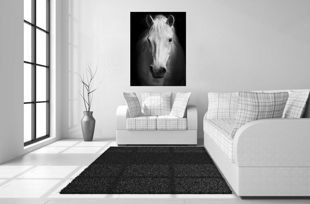 Temp Glass With Foil - White Horse - Black
