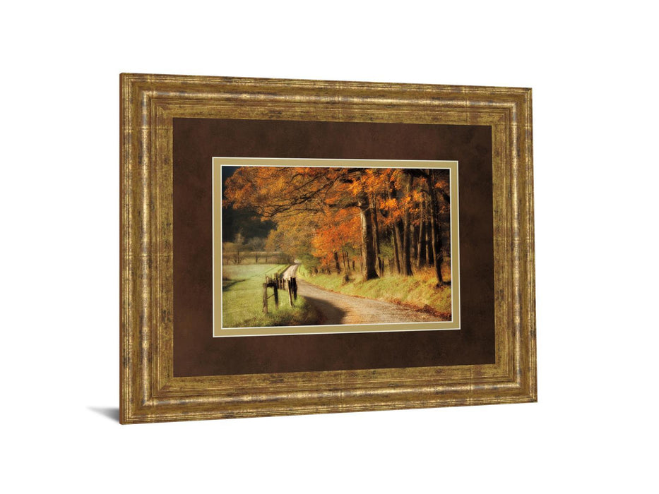 Autumns Morning Light By D. Burt - Framed Print Wall Art - Orange