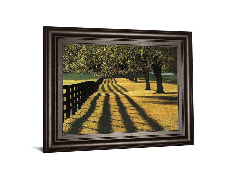 Chasing Shadows By Mike Jones - Framed Print Wall Art - Green