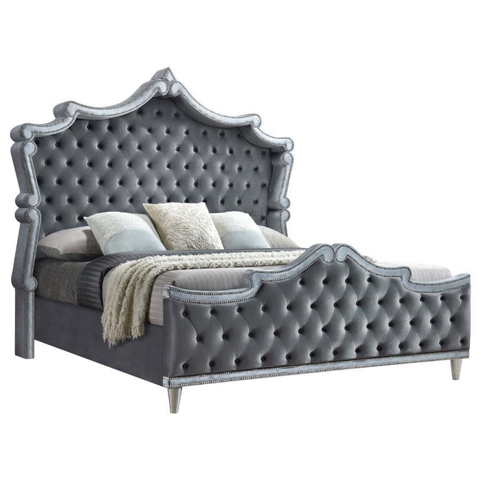 Antonella - Bed Sacramento Furniture Store Furniture store in Sacramento