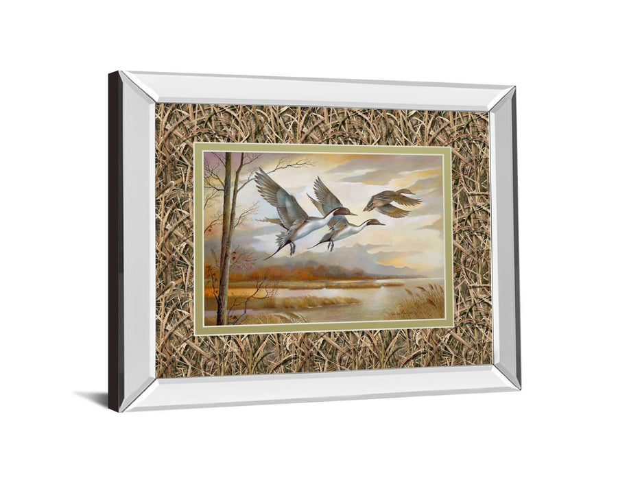 Pintails By Ruanne Manning ***Monl*** (Mirrored Frame) - Light Brown