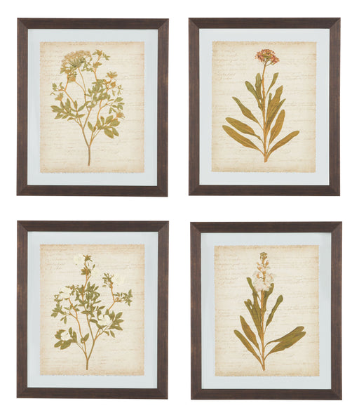 Dyani - Brown - Wall Art Set (Set of 4) Sacramento Furniture Store Furniture store in Sacramento