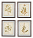 Dyani - Brown - Wall Art Set (Set of 4) Sacramento Furniture Store Furniture store in Sacramento