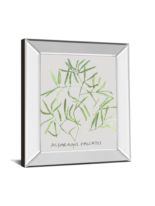 Asparogus Falcatus By Katrien Soeffers - Mirror Framed Print Wall Art - Green