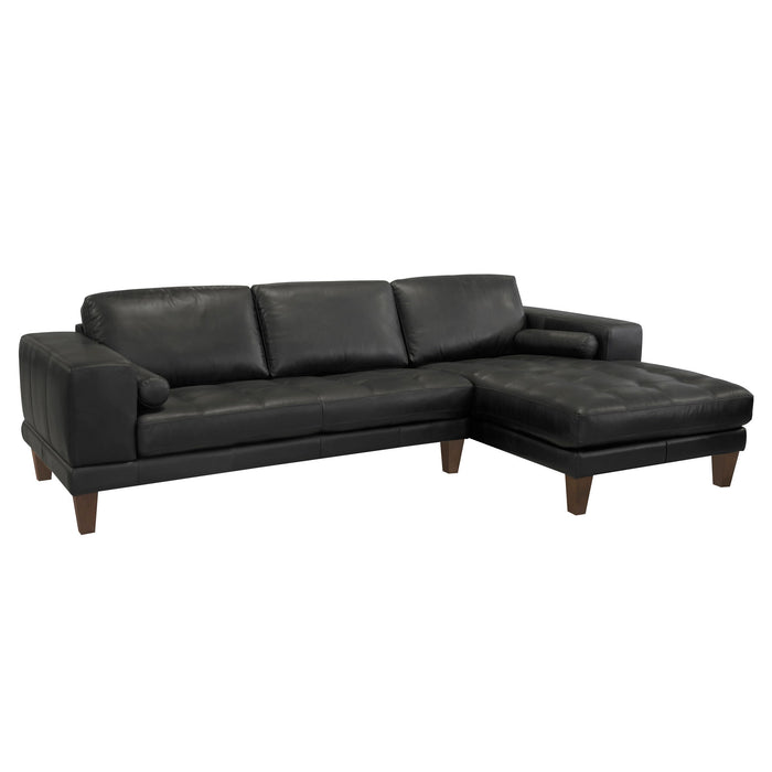 Wynne - Contemporary Sectional - Black / Brown