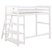 Anica - Workstation Loft Bed Sacramento Furniture Store Furniture store in Sacramento